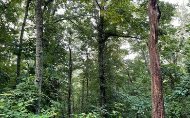 Additional View