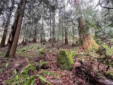 48 Emerald Lake Way, Bellingham, WA 98226 - photo 6