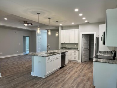Kitchen to living area