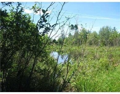 Brush & Stream