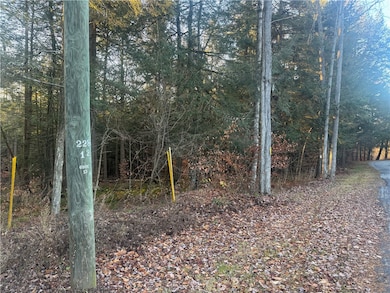 0 Thorpe Hill Rd, Masonville, NY 13838 - photo 2