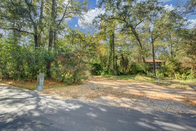 45 Stillforest St, Houston, TX 77024 - photo 2