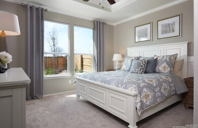 7332 Playa Crossing, San Antonio, TX 78252 - photo 6