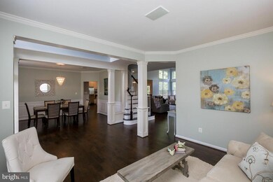 43392 Burke Dale St, Chantilly, VA 20152 - photo 3