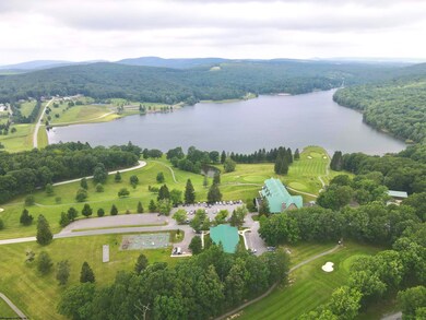 138 Day Lily Cir, Terra Alta, WV 26764 - photo 4