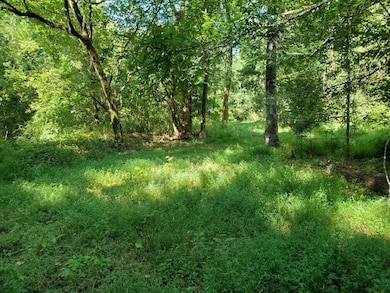 0 Goolsby Rd unit 7655845, Monticello, GA 31064 - photo 3