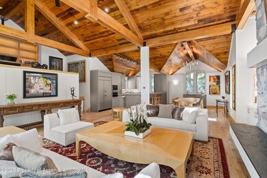 437 W Smuggler St, Aspen, CO 81611 - photo 5