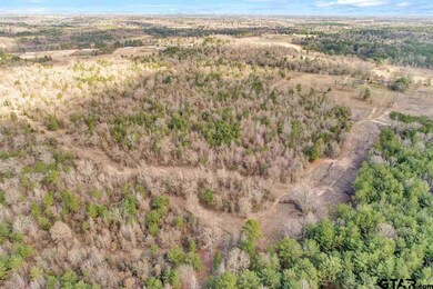 20834 County Road 26, Tyler, TX 75705 - photo 2