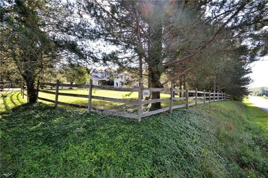 Pine treed privacy!