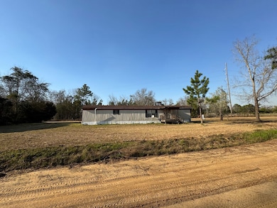 177 Merritt Rd, Sylvester, GA 31791 - photo 4