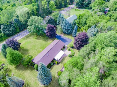 Aerial View from the back of the property, green b