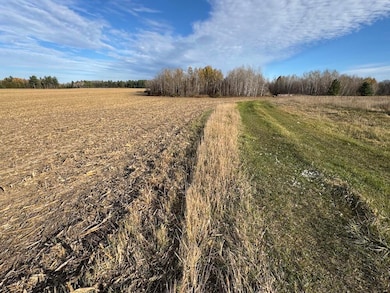 409 S Morrison Rd, West Branch, MI 48661 - photo 7