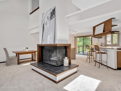 969 Collingwood Dr, Naperville, IL 60540 - photo 4