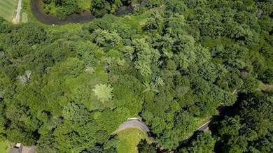 lt340341 Tunica Ln, Ellijay, GA 30540 - photo 4