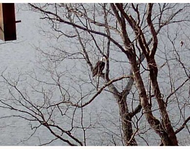 41 Davis Cir, Bella Vista, AR 72715 - photo 7