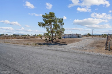 1141 W Chipmunk Rd, Pahrump, NV 89048 - photo 4