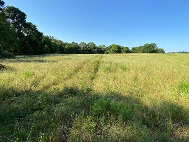 TBD Fm 59, Athens, TX 75148 - photo 5