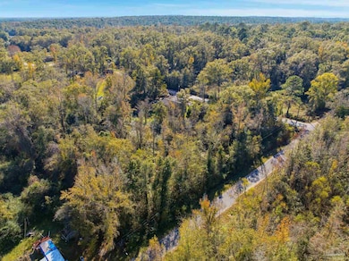 1100 McKinnonville Rd, Molino, FL 32577 - photo 2