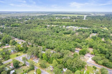 3.82 ACS W/S Black Rd SE, Darien, GA 31305 - photo 5