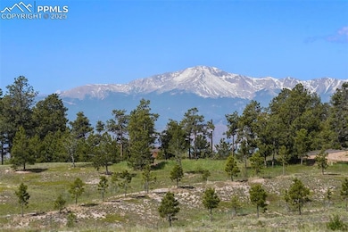 TBD Holmes Rd, Colorado Springs, CO 80908 - photo 3