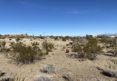 28915 N Pierce Ferry Rd, Meadview, AZ 86444 - photo 7