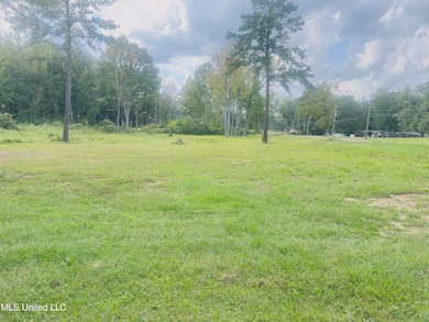 4887 Jackson Raymond Rd, Raymond, MS 39154 - photo 5