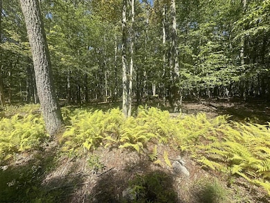 47 Daylily Ct, Terra Alta, WV 26764 - photo 2