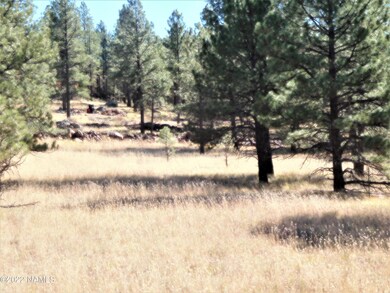 2 Acre Parcel 4