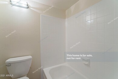 photo_06