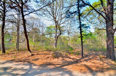 3 Briarwood Ln, West Tisbury, MA 02575 - photo 2