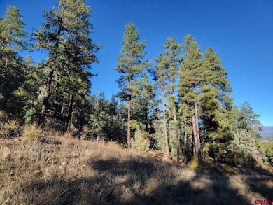 21 Echo Lake Access Easement, Pagosa Springs, CO 81147 - photo 6