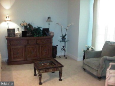 9231 Ribbon Falls Loop, Bristow, VA 20136 - photo 6