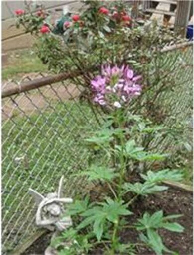 247 Westbrook Dr, Clifton Heights, PA 19018 - photo 7