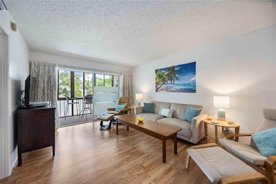 Large Open Living Area