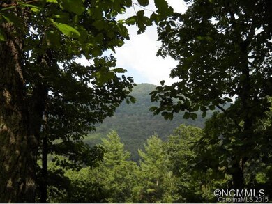 000 Tryst Dr, Asheville, NC 28805 - photo 7