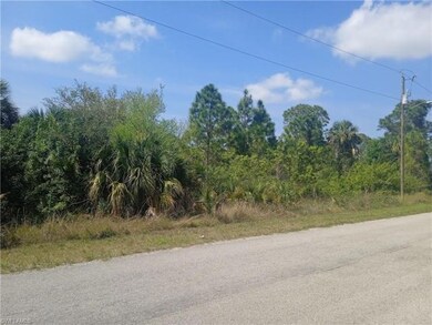 2605 Hanna Ave N, Lehigh Acres, FL 33971 - photo 6