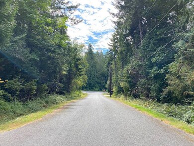 157 Park Dr, Point Roberts, WA 98281 - photo 6