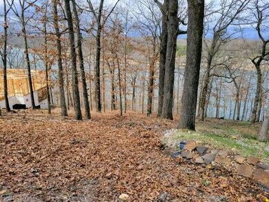 23 Aldridge Ln, Bella Vista, AR 72715 - photo 5