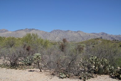 Catalina View