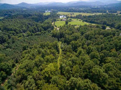 LOT 38 Blandemar Dr, Samuel Miller, VA 22903 - photo 3