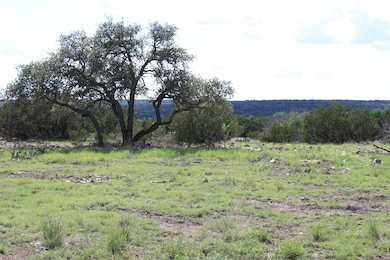 21103 N Hwy 377 unit 11 and 13, Telegraph, TX 78880 - photo 6