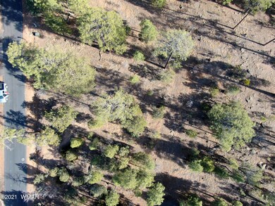 3121 Sage Ln, Show Low, AZ 85901 - photo 4