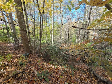 00 Rolling Hills Rd, Pineville, WV 24874 - photo 6