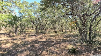 34672 Ansley Ridge Trail, Bulverde, TX 78163 - photo 3