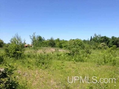 TBD A W Sharon Ave, Houghton, MI 49931 - photo 6