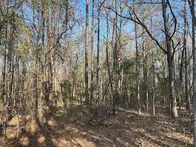 0 County Road 135 unit 25498670, Stevenson, AL 35772 - photo 5