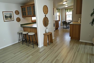 4224 Crow Wing Cir SW, Pillager, MN 56473 - photo 3