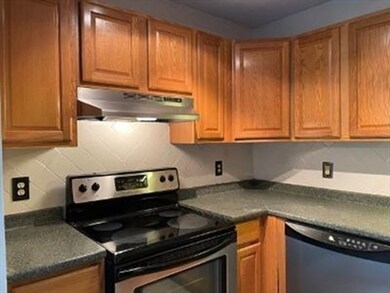 10 Rutledge St unit 3F, Worcester, MA 01604 - photo 7