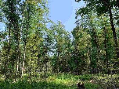 Lot 3 TBD Cherry Hill Rd, Stone Ridge, NY 12484 - photo 5