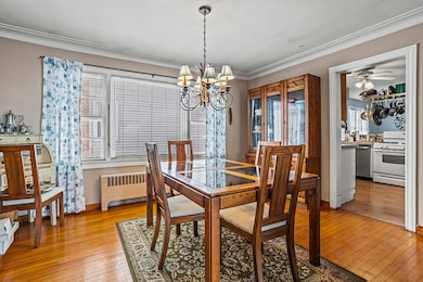 9100 S 55th Ave, Oak Lawn, IL 60453 - photo 5